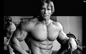 Arnold Schwarzenegger